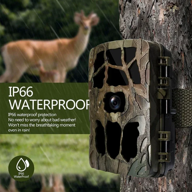 Hunting Outdoor Camera - H982 IP66 Chống Thấm Nước 4K