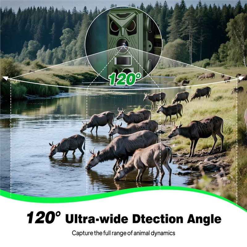 BTLIFE-Wildlife Surveillance 1 - đánh giá và giá Hunting Outdoor Camera