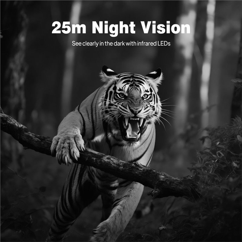 BTLIFE-Wildlife Surveillance 1 - đánh giá và giá Hunting Outdoor Camera