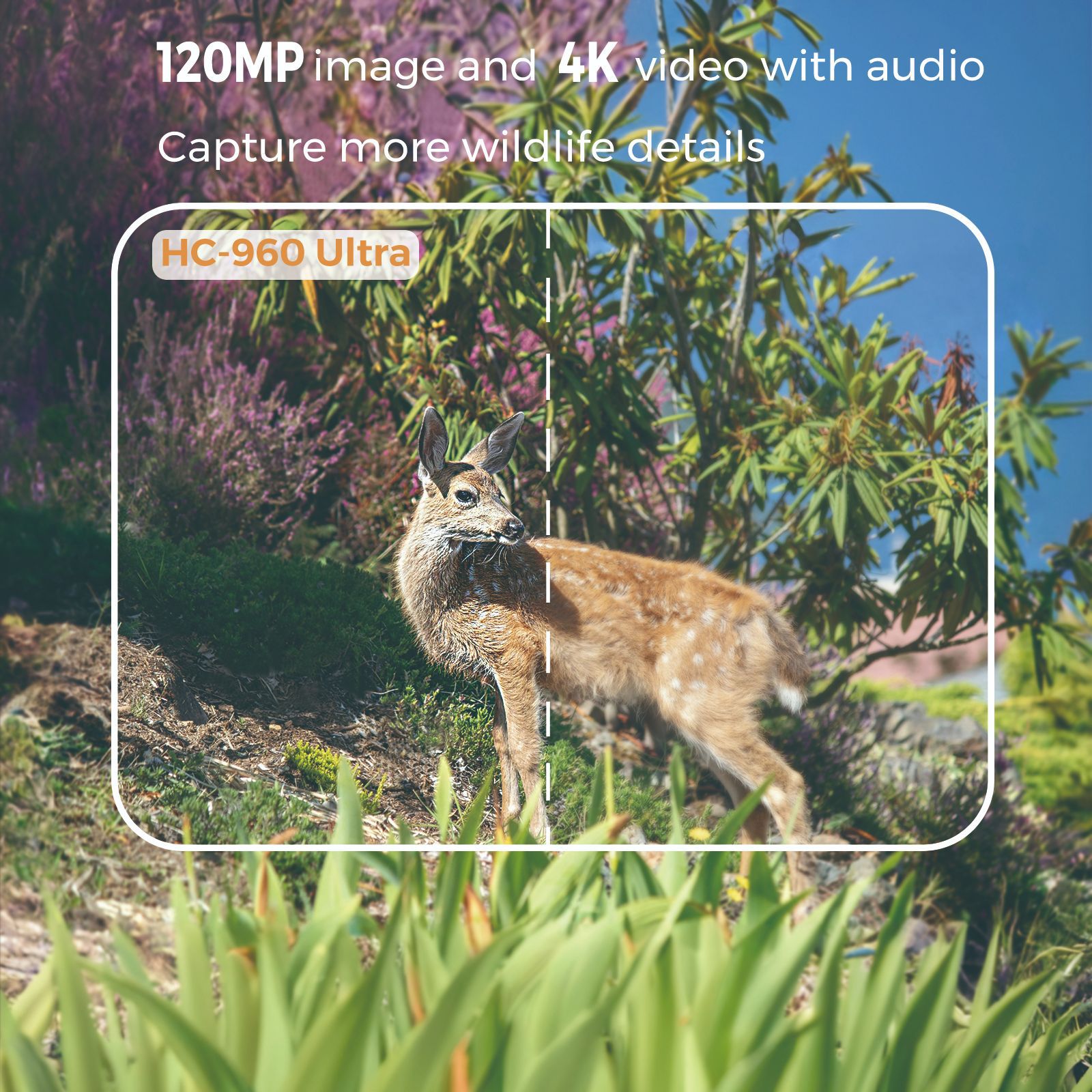 Outdoor 4K Video 120MP Photo 4 - đánh giá và giá Hunting Outdoor Camera