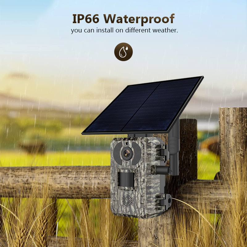 4G 4MP Outdoor Wildlife Huntin - đánh giá và giá Hunting Outdoor Camera