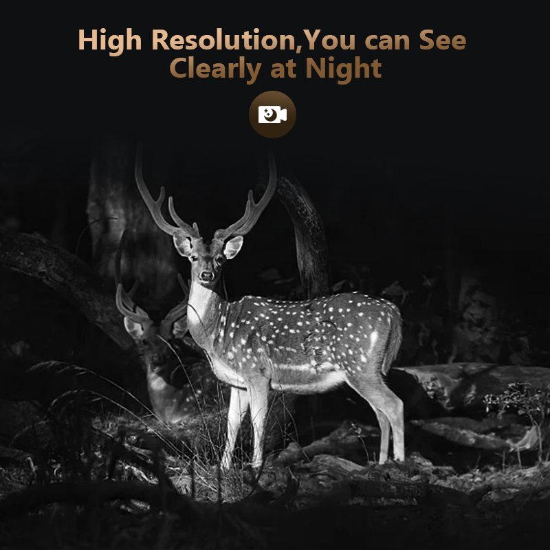 4G 4MP Outdoor Wildlife Huntin - đánh giá và giá Hunting Outdoor Camera