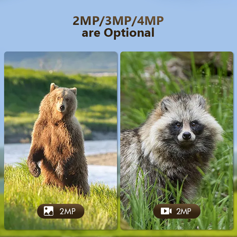 4G 4MP Outdoor Wildlife Huntin - đánh giá và giá Hunting Outdoor Camera