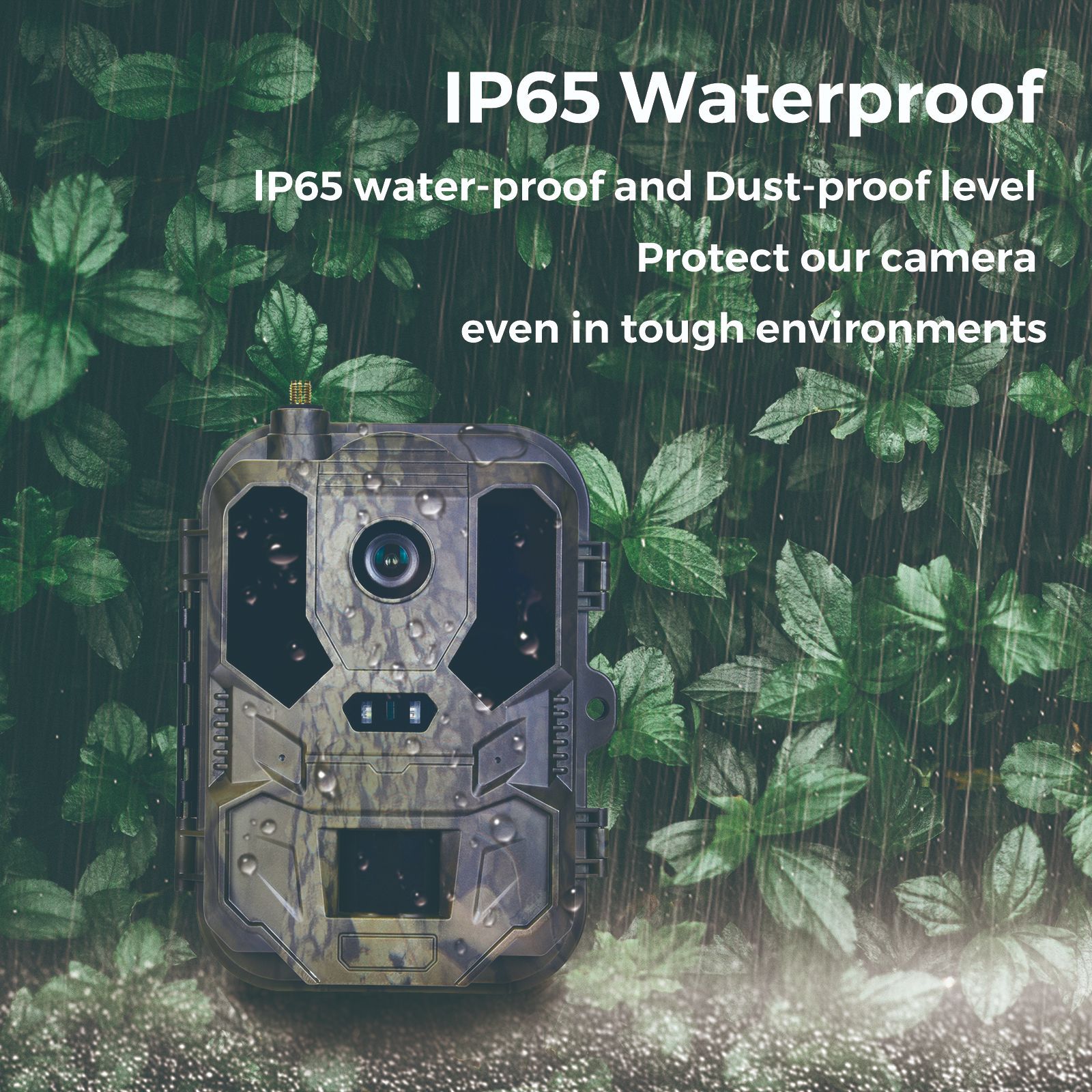 4G outdoor wildlife infrared c - đánh giá và giá Hunting Outdoor Camera